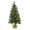 3ft. Pre-Lit Fraser Fir Natural Look Artificial Christmas Tree with Clear LED Light